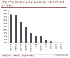 透過城投和非國企債擔(dān)保解析擔(dān)保公司 專業(yè)擔(dān)保公司信用風(fēng)險跟蹤 一