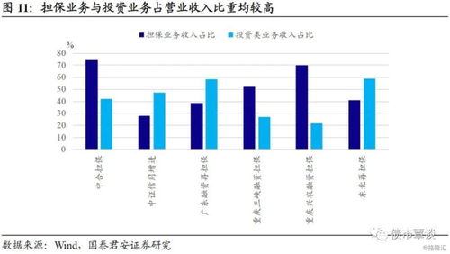 繁華落盡,回歸初心 擔保行業信用深度報告