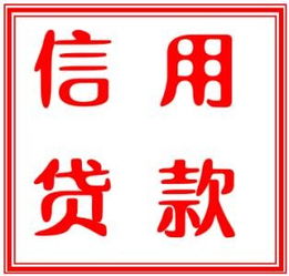 黃陂私貸公司 新洲快速下款私貸