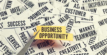 阿里為出口企業(yè)信用 品牌雙重?fù)?dān)保,哪些企業(yè)能入選 全球質(zhì)造 計劃